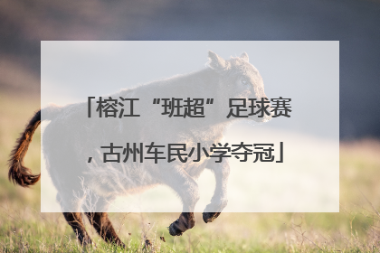 榕江“班超”足球赛，古州车民小学夺冠