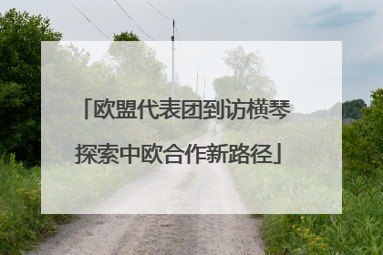 欧盟代表团到访横琴 探索中欧合作新路径