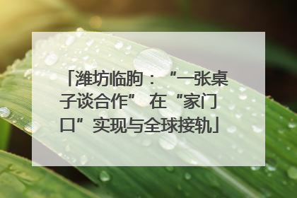 潍坊临朐：“一张桌子谈合作” 在“家门口”实现与全球接轨