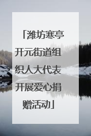 潍坊寒亭开元街道组织人大代表开展爱心捐赠活动