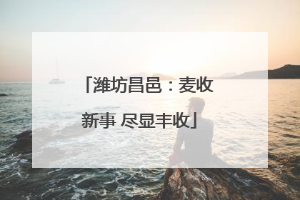 潍坊昌邑：麦收新事 尽显丰收