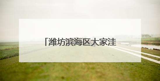 潍坊滨海区大家洼街道“三包三联”激活乡村振兴密码