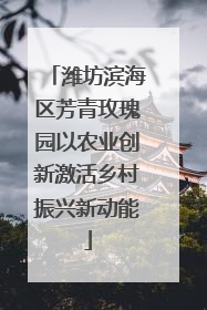 潍坊滨海区芳青玫瑰园以农业创新激活乡村振兴新动能