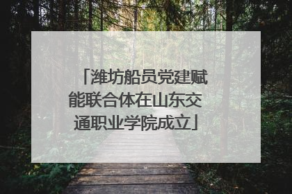 潍坊船员党建赋能联合体在山东交通职业学院成立