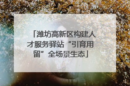 潍坊高新区构建人才服务驿站“引育用留”全场景生态