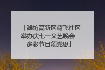 潍坊高新区鸢飞社区举办庆七一文艺晚会 多彩节目颂党恩