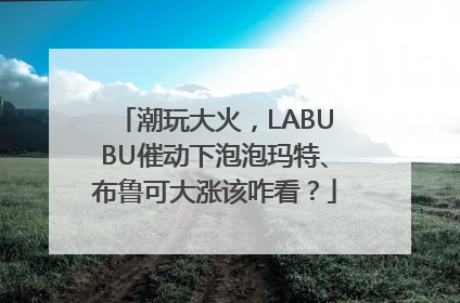 潮玩大火，LABUBU催动下泡泡玛特、布鲁可大涨该咋看？