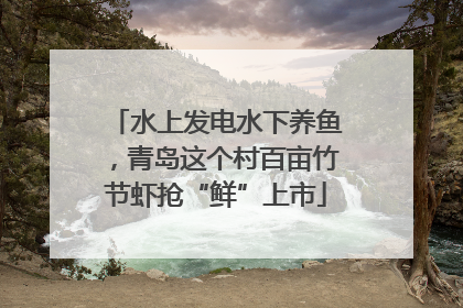 水上发电水下养鱼，青岛这个村百亩竹节虾抢“鲜”上市