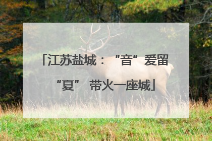 江苏盐城：“音”爱留“夏” 带火一座城
