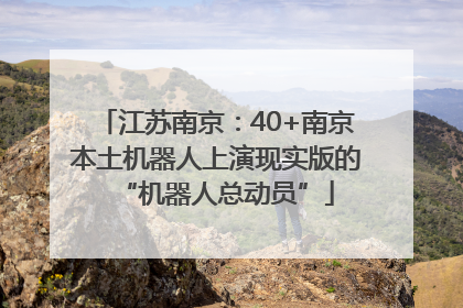 江苏南京：40+南京本土机器人上演现实版的“机器人总动员”