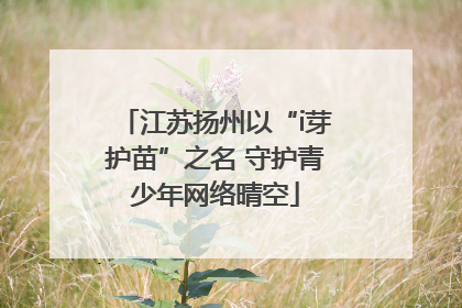 江苏扬州以“i芽护苗”之名 守护青少年网络晴空