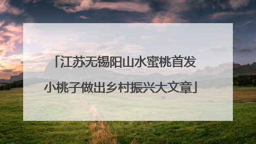 江苏无锡阳山水蜜桃首发 小桃子做出乡村振兴大文章