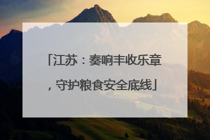 江苏：奏响丰收乐章，守护粮食安全底线