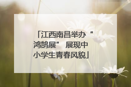 江西南昌举办“鸿鹄展” 展现中小学生青春风貌