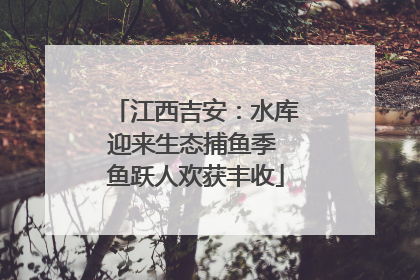 江西吉安：水库迎来生态捕鱼季 鱼跃人欢获丰收