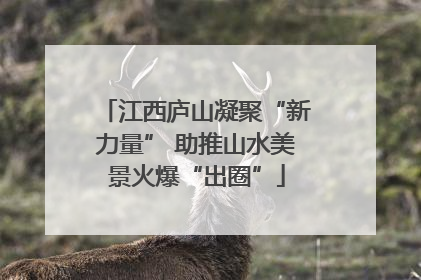 江西庐山凝聚“新力量” 助推山水美景火爆“出圈”