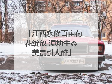江西永修百亩荷花绽放 湿地生态美景引人醉