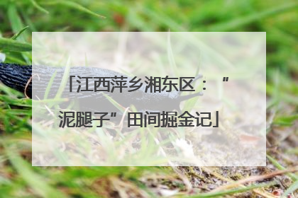 江西萍乡湘东区：“泥腿子”田间掘金记
