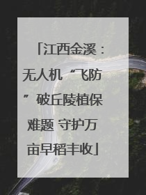 江西金溪：无人机“飞防”破丘陵植保难题 守护万亩早稻丰收