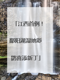 江西首例！鄱阳湖湿地彩鹮喜添新丁