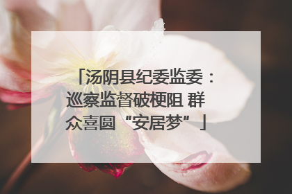 汤阴县纪委监委：巡察监督破梗阻 群众喜圆“安居梦”