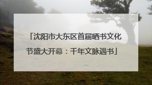 沈阳市大东区首届晒书文化节盛大开幕：千年文脉遇书