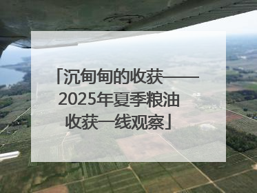 沉甸甸的收获——2025年夏季粮油收获一线观察