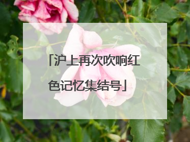 沪上再次吹响红色记忆集结号