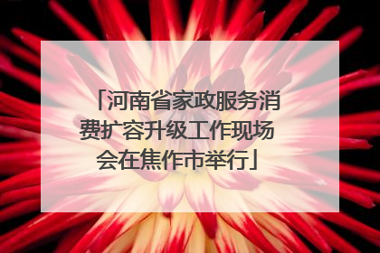 河南省家政服务消费扩容升级工作现场会在焦作市举行