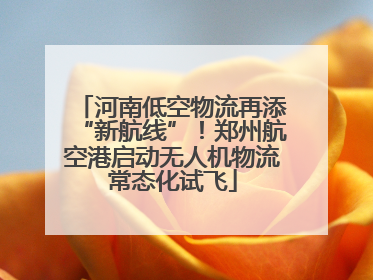 河南低空物流再添“新航线”！郑州航空港启动无人机物流常态化试飞