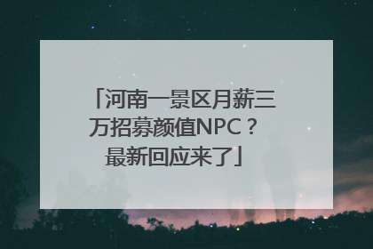 河南一景区月薪三万招募颜值NPC？最新回应来了