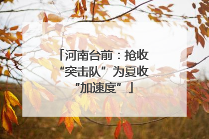 河南台前：抢收“突击队”为夏收“加速度”