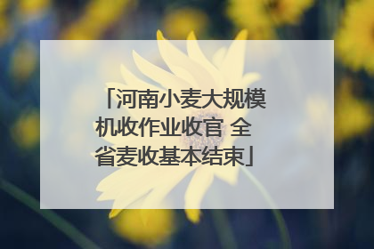 河南小麦大规模机收作业收官 全省麦收基本结束