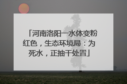 河南洛阳一水体变粉红色，生态环境局：为死水，正抽干处置