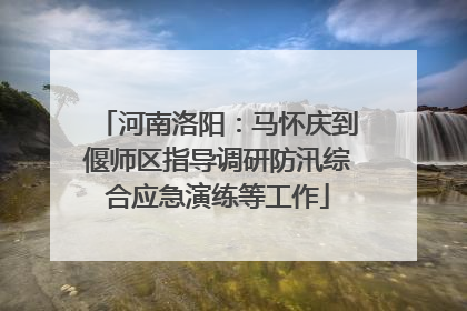 河南洛阳：马怀庆到偃师区指导调研防汛综合应急演练等工作