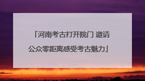 河南考古打开院门 邀请公众零距离感受考古魅力