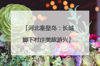 河北秦皇岛：长城脚下村庄美旅游兴