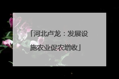 河北卢龙：发展设施农业促农增收