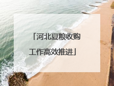 河北夏粮收购工作高效推进
