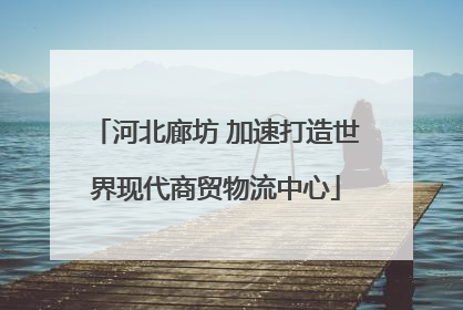 河北廊坊 加速打造世界现代商贸物流中心