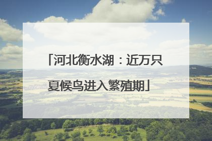 河北衡水湖：近万只夏候鸟进入繁殖期