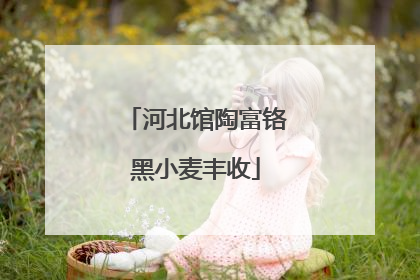 河北馆陶富铬黑小麦丰收