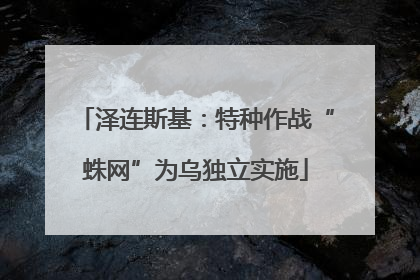 泽连斯基：特种作战“蛛网”为乌独立实施