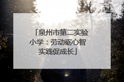 泉州市第二实验小学：劳动砺心智实践促成长