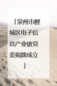 泉州市鲤城区电子信息产业链党委揭牌成立