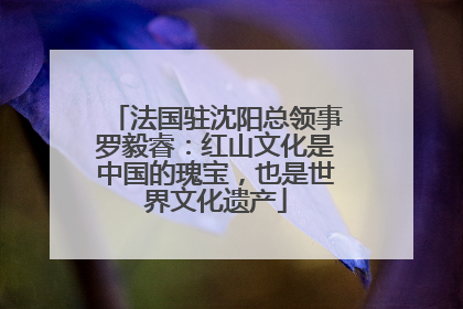 法国驻沈阳总领事罗毅睿：红山文化是中国的瑰宝，也是世界文化遗产