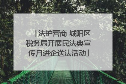 法护营商 城阳区税务局开展民法典宣传月进企送法活动