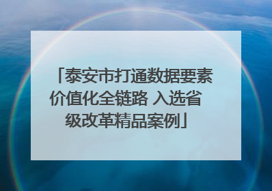 泰安市打通数据要素价值化全链路 入选省级改革精品案例