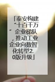 泰安构建“十百千万”企业梯队，推动工业企业向数智化转型2.0版升级