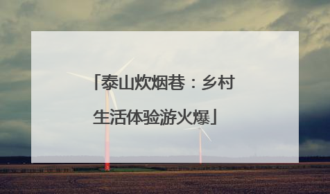 泰山炊烟巷：乡村生活体验游火爆